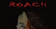 Roach