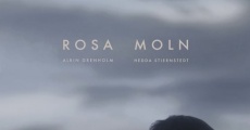 Rosa Moln