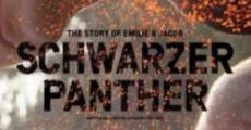Filme completo Schwarzer Panther
