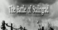 Secretos de Stalingrado streaming