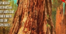 Sequoia film complet