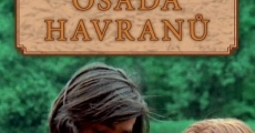 Filme completo Osada Havran?