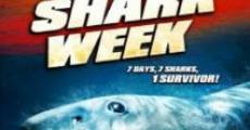 Shark Week - 7 Tage, 7 Haie streaming
