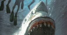 Raging Sharks - Killer aus der Tiefe