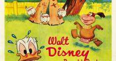 Walt Disney's Donald Duck: Spare the Rod