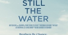 Filme completo Still The Water