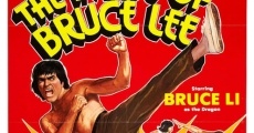 Bruce Lee - Der reißende Puma streaming