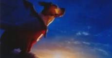 Underdog: chien volant non identifié streaming