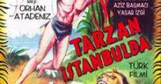 Tarzan Istanbulda film complet