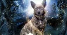 Filme completo The Amazing Wizard of Paws