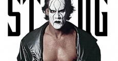 The Best of Sting film complet