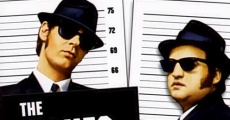 Blues Brothers streaming