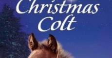 The Christmas Colt streaming