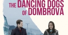 The Dancing Dogs of Dombrova film complet