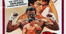 Bruce Lee - Gigant des Kung Fu streaming