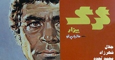 Gorg-e bizar (1973)