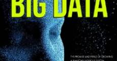 The Human Face of Big Data film complet