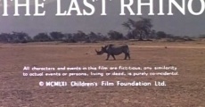 L'ultimo rinoceronte