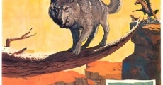 Lobo, der Wolf streaming