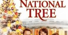 Filme completo The National Tree