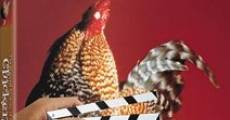 The Natural History of the Chicken film complet