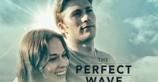 Filme completo The Perfect Wave