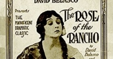 Rose of the Rancho (1914)