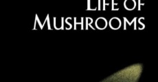 The Secret Life of Mushrooms streaming