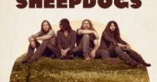 Filme completo The Sheepdogs Have at It