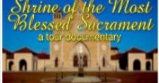 The Shrine of the Most Blessed Sacrament streaming