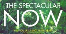 The Spectacular Now film complet