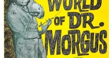 The Wacky World of Dr. Morgus streaming