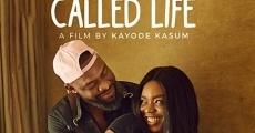 This Lady Called Life film complet