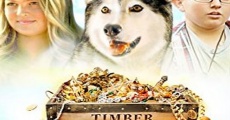 Filme completo Timber the Treasure Dog