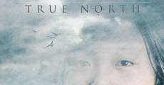 True North - Der letzte Fang streaming