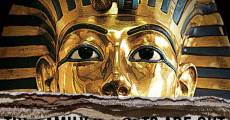 King Tut Unwrapped streaming
