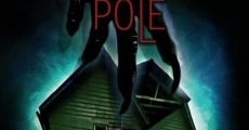 Twelve Pole