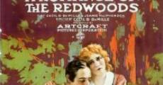 A Romance of the Redwoods