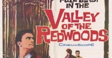 Valley of the Redwoods film complet