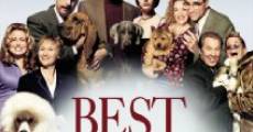 Best in Show film complet