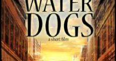 Water Dogs film complet
