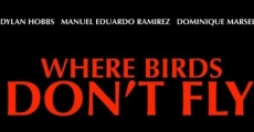 Where Birds Don't Fly film complet