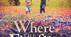 Where the Fireflies Die film complet