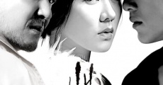 Filme completo Baek-ya-haeng - Ha-yan Eo-doom Sok-eul Geol-da (Walking Through White Darkness) (Into The White Night)