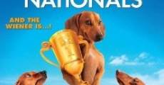 Wiener Dog Nationals film complet