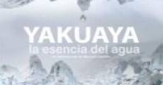 Yakuaya, la esencia del agua (2012)