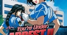 You're Under Arrest! - The Movie streaming