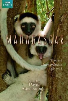 Madagascar online kostenlos