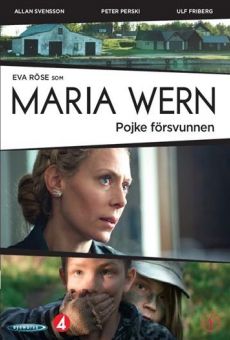Maria Wern: Pojke försvunnen kostenlos