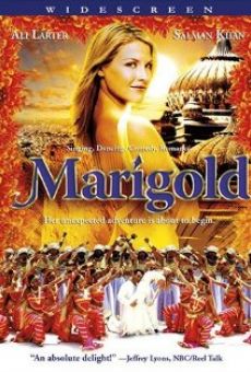 Marigold en ligne gratuit